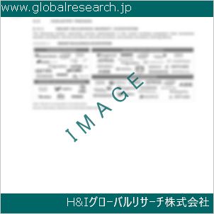 グローバルリサーチ調査資料のイメージ